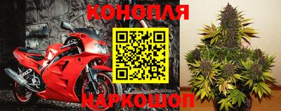 молекула духа Гусев